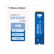 西部数据（WD）1TB固态硬盘